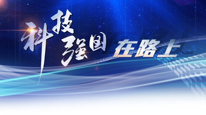 科技公司服务标准：构建可靠服务体系的基石